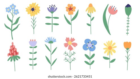 Flores silvestres simples sobre fondo blanco.