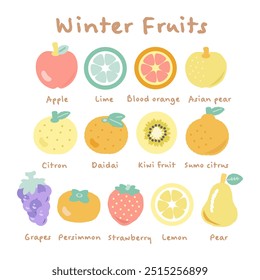 Einfaches Winterfrucht-Illustrationssatz
