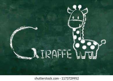 Simple word "G giraffe" for memorization. Green board in the classroom for learning. A - Z table.