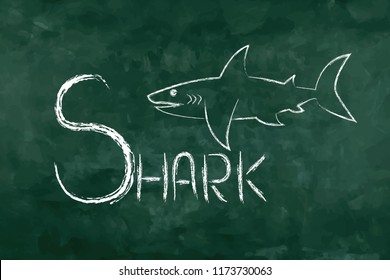 Simple word "S shark" for memorization. Green board in the classroom for learning. A - Z table.