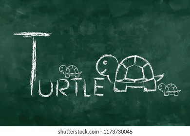 Simple word "T turtle" for memorization. Green board in the classroom for learning. A - Z table.