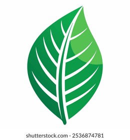 A simple, yet elegant, green leaf illustration. Perfect for use as a logo, icon, or design element.  This versatile image can be used for a wide range of projects.
