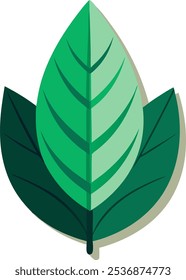 Una ilustración sencilla pero elegante de dos hojas verdes, perfecta para añadir un toque de naturaleza a tus diseños. Este gráfico versátil es ideal para proyectos ecológicos, temas botánicos.