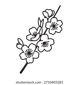 Eine schlichte und doch elegante Linienzeichnung eines Kirschblütenzweiges auf sauberem, weißem Hintergrund Die schwarze Umrisslinie der zarten Blumen und Zweige schafft eine 