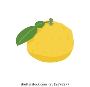 Simple yuzu illustration with leaves.