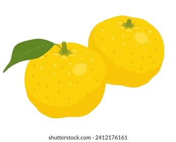 Simple yuzu vector illustration material