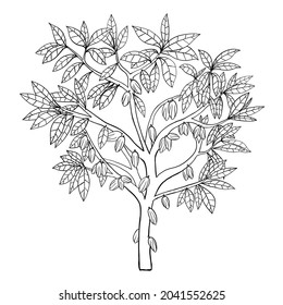 Esbozo de dibujo de árbol de cacao simple.Ilustración vectorial.