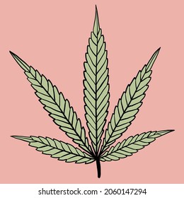 simplicity cannabis leaf freehand drawing flat design.vector illustration.