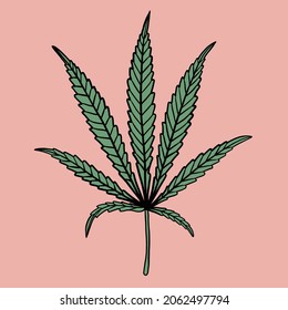 simplicity cannabis leaf freehand drawing flat design.vector illustration.