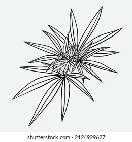 Einfachheit cannabis Blatt Freehand und Zeichnung flach design.Vektorgrafik.