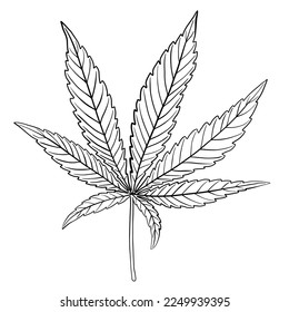 simplicity cannabis leaf freehand drawing flat design.vector illustration.