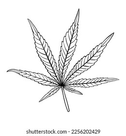 simplicity cannabis leaf freehand drawing flat design.vector illustration.