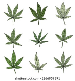 Sencillez de la colección de diseño plano de hoja de cannabis a mano alzada. Ilustración vectorial.