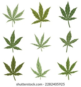 Sencillez de la colección de diseño plano de hoja de cannabis a mano alzada. Ilustración vectorial.