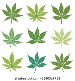 Sencillez de la colección de diseño plano de hoja de cannabis a mano alzada. Ilustración vectorial.
