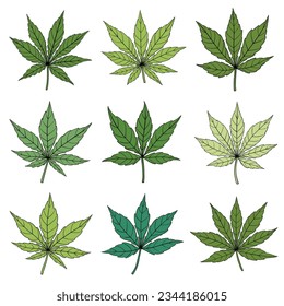 Einfachheit Cannabis Blatt Freehe und Zeichnung flach Design Sammlung. Vektorgrafik.