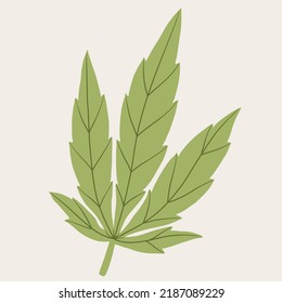 Einfachheit Cannabis Blatt Freehand Zeichnung.Vektorgrafik.