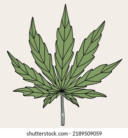 simplicity cannabis leaf freehand drawing.vector illustration.