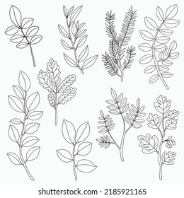 Simplicity floral freehand continuous line drawing flat design.Vector illustration.