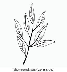 Simplicity floral freehand drawing flat design.Vector illustration.