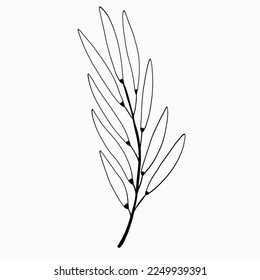 Simplicity floral freehand drawing flat design.Vector illustration.