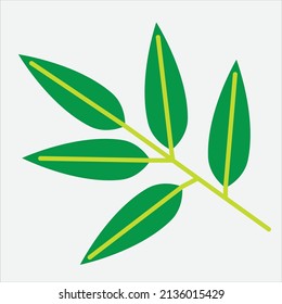 simplicity floral leaf drawing flat design.vector illustration.