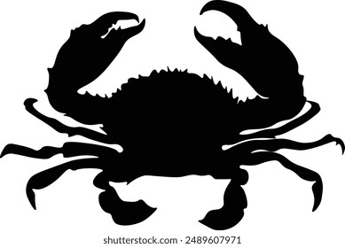 Simplicity full of meaning, animal silhouettes teach us about natural harmony