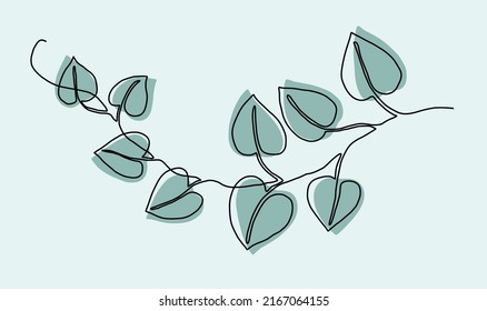 Simplicity ivy continuous line freehand drawing. Vector illustration.