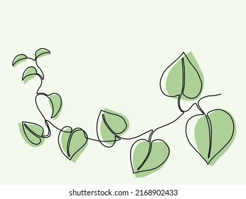 Simplicity ivy continuous line freehand drawing. Vector illustration.