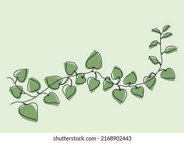 Simplicity ivy continuous line freehand drawing. Vector illustration.