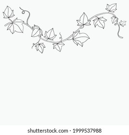 Simplicity ivy freehand drawing flat design. Vector illustration.