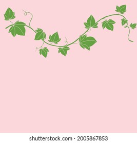 Simplicity ivy freehand drawing flat design. Vector illustration.