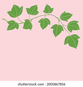 Simplicity ivy freehand drawing flat design. Vector illustration.