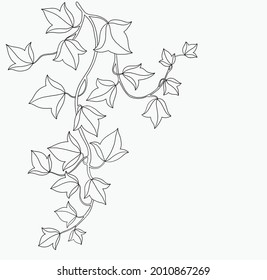 57,171 Hanging vines Images, Stock Photos & Vectors | Shutterstock