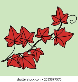 Simplicity ivy freehand drawing flat design. Vector illustration.