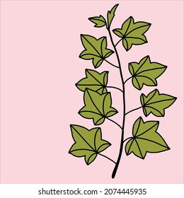 simplicidad ivy diseño plano a mano alzada.ilustración vectorial.