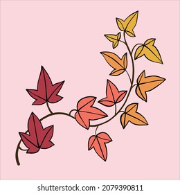 simplicity ivy freehand drawing flat design.vector illustration.