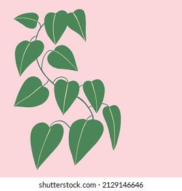 Simplicity ivy freehand drawing flat design. Vector illustration.