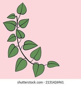 Simplicity ivy freehand drawing flat design. Vector illustration.