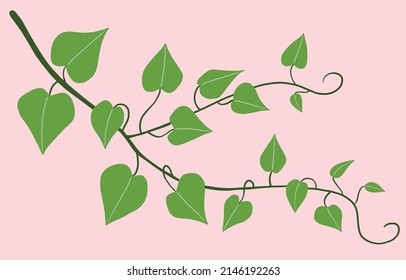 Diseño plano de hiedra de sencillez a mano alzada. Ilustración vectorial.