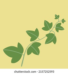 Simplicity ivy freehand drawing flat design. Vector illustration.