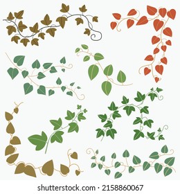 Simplicity ivy freehand drawing flat design collection. Vector illustration.