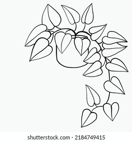 Simplicity ivy freehand drawing flat design. Vector illustration.