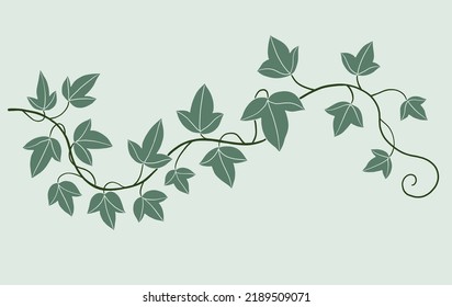 Diseño plano de hiedra de sencillez a mano alzada. Ilustración vectorial.