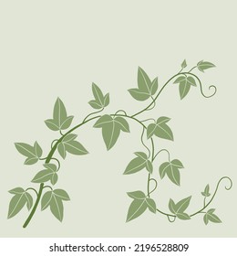 Simplicity ivy freehand drawing flat design. Vector illustration.