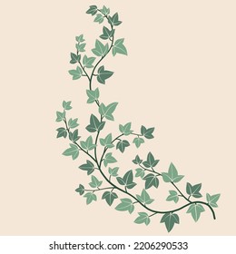 Simplicity ivy freehand drawing flat design. Vector illustration.