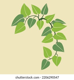 Diseño plano de hiedra de sencillez a mano alzada. Ilustración vectorial.