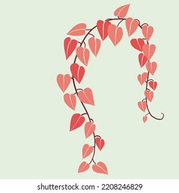 Simplicity ivy freehand drawing flat design. Vector illustration.