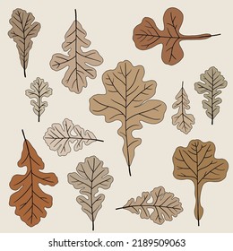 Diseño plano de sencillez con arce a mano alzada. Ilustración vectorial.