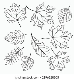 Simplicity maple freehand drawing flat design. Vector illustration.